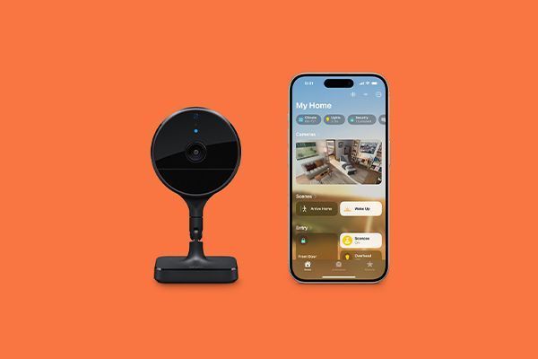 9099909090.jpg